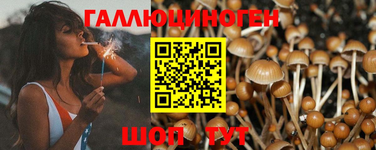Псилоцибиновые грибы мухоморы Красногорск