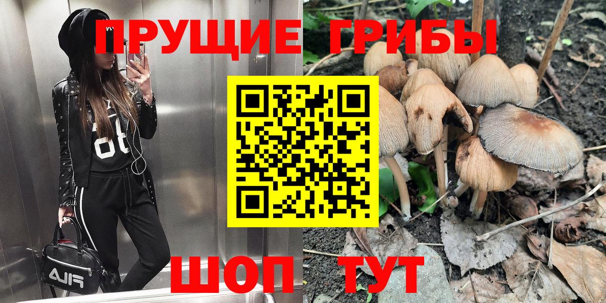 Красногорск  Галлюциногенные грибы Magic Shrooms  Вход с VPN  Псилоцибиновые грибы мицелий 